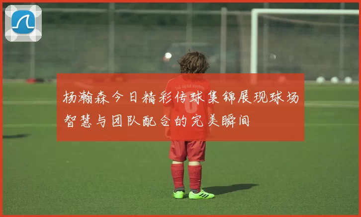 杨瀚森今日精彩传球集锦展现球场智慧与团队配合的完美瞬间